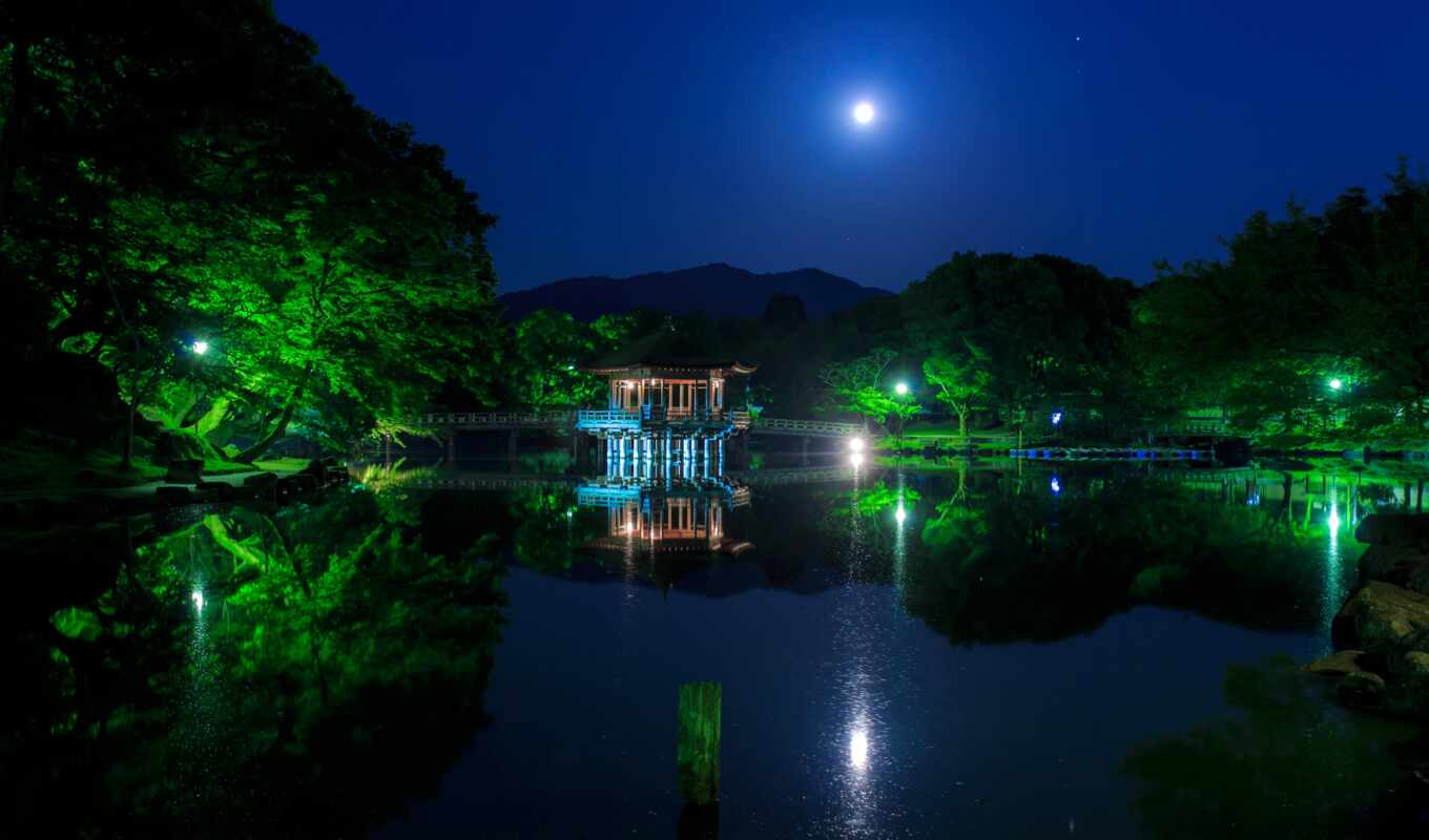 nature, tree, night, moon, Bridge, japanese, pond, national, lunar, nara, parkii