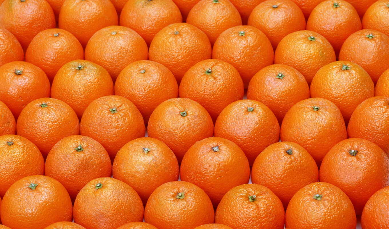 online, использование, интернет, naranja, comprar, tangerine