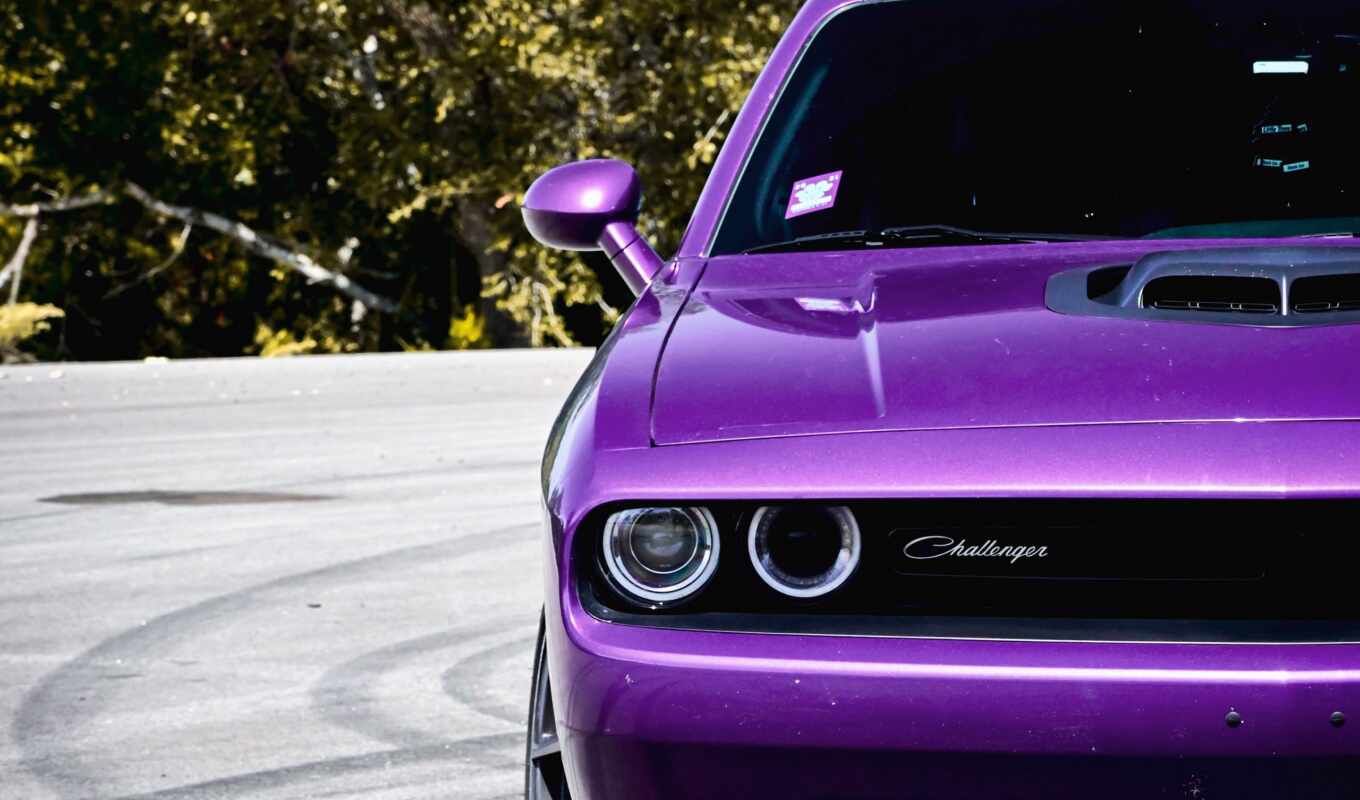 view, auto, car, dodge, challenger, side, beautiful, side, previe
