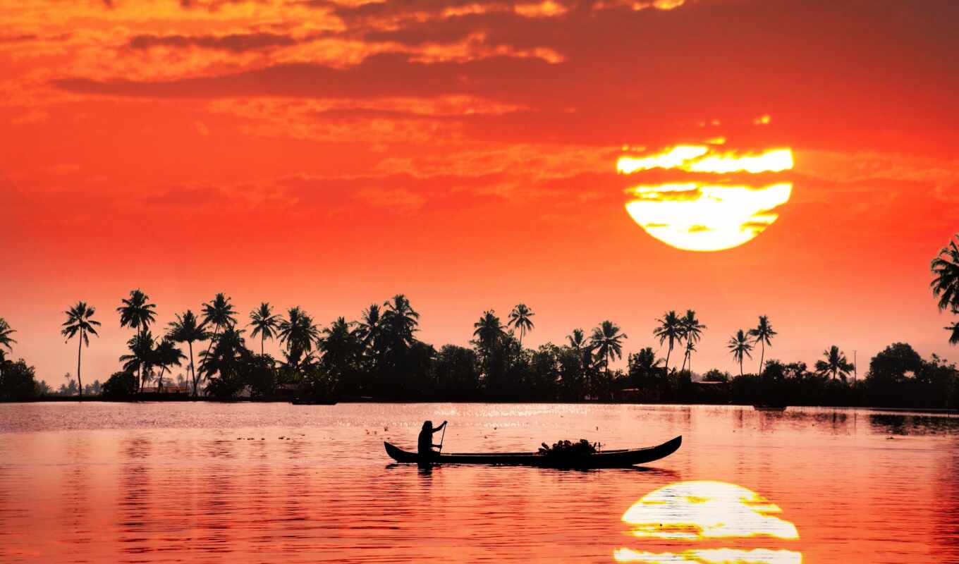 lake, sunset, palm, trees, a boat, foreground