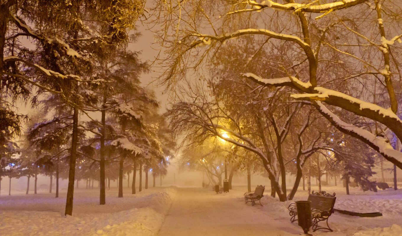 night, snow, winter, road, alley, lantern, snowfall