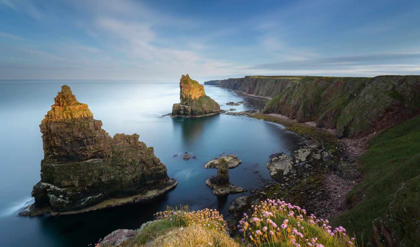 фото, голова, duncansby