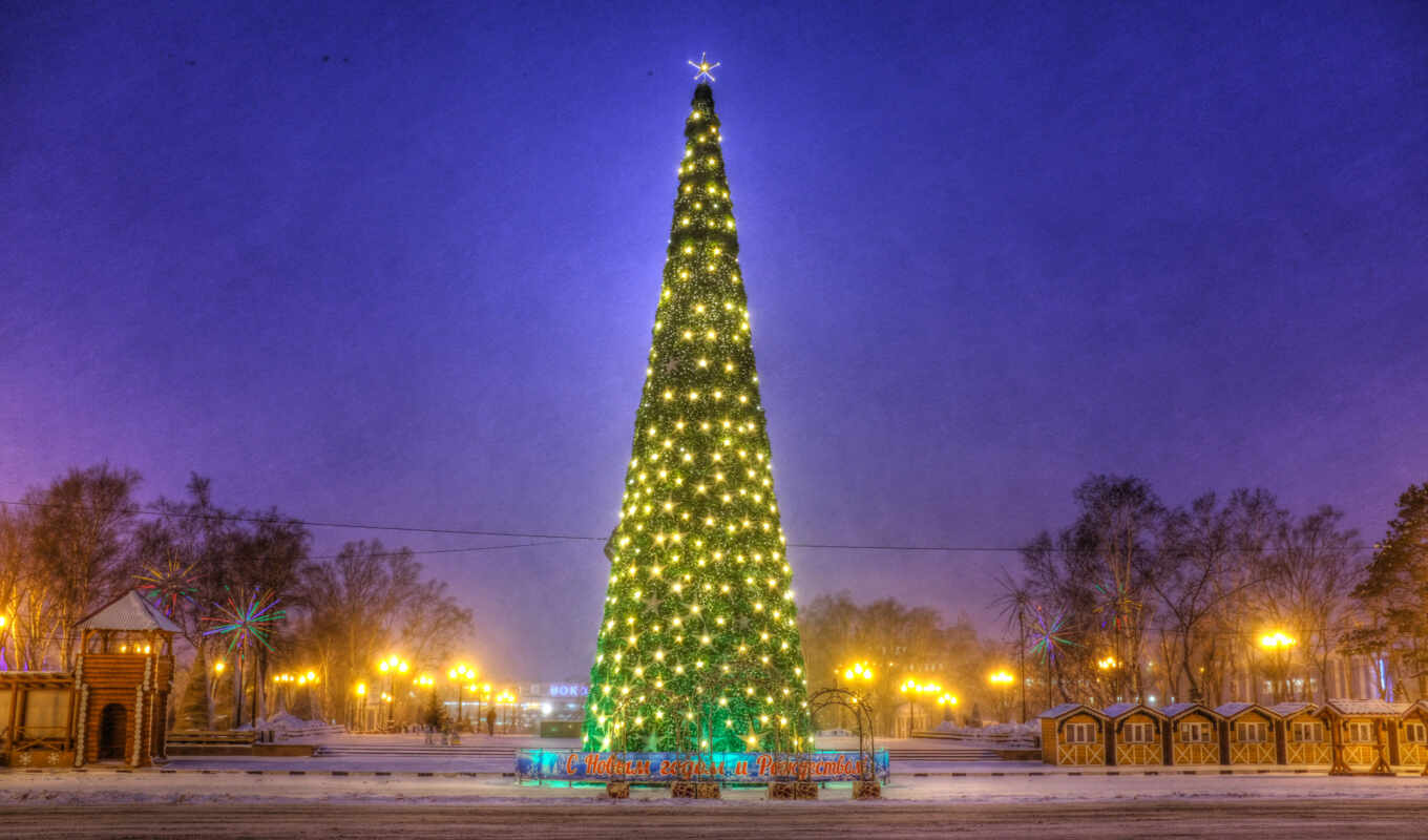tree, Russia, christmas, tree, Christmas tree