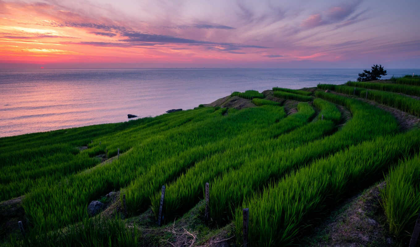 sunset, rice, terrace, peninsula, senmaida, shiroone, noto