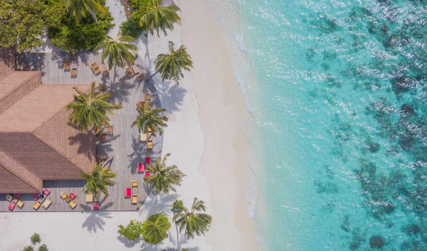 взгляд, house, дерево, water, пляж, остров, ocean, palm, tropical, aerial, maldive