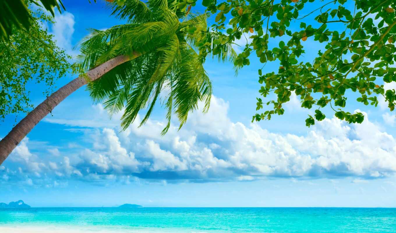 небо, пейзажи -, пляж, пальмы, ocean, palm, рай, угол