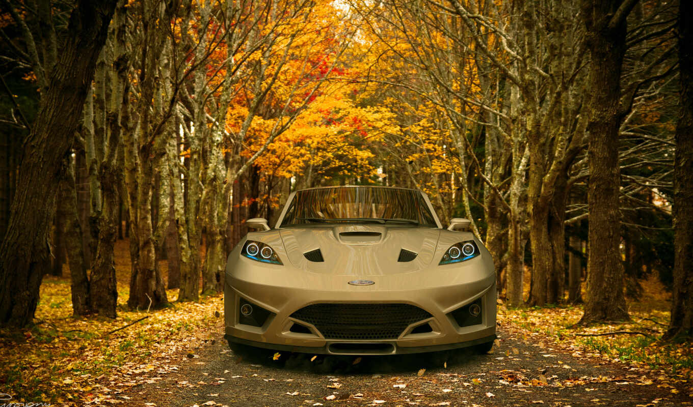 PHOTOSESSION, auto, autumn, яndex, collections, autumn, collection, look, collections