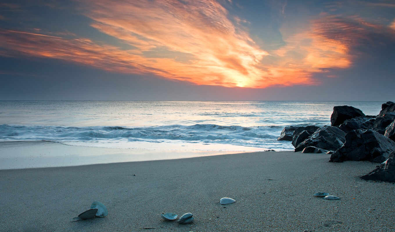 nature, beautiful, beach, sea, coast, sand, one, beautiful, stones, seashell