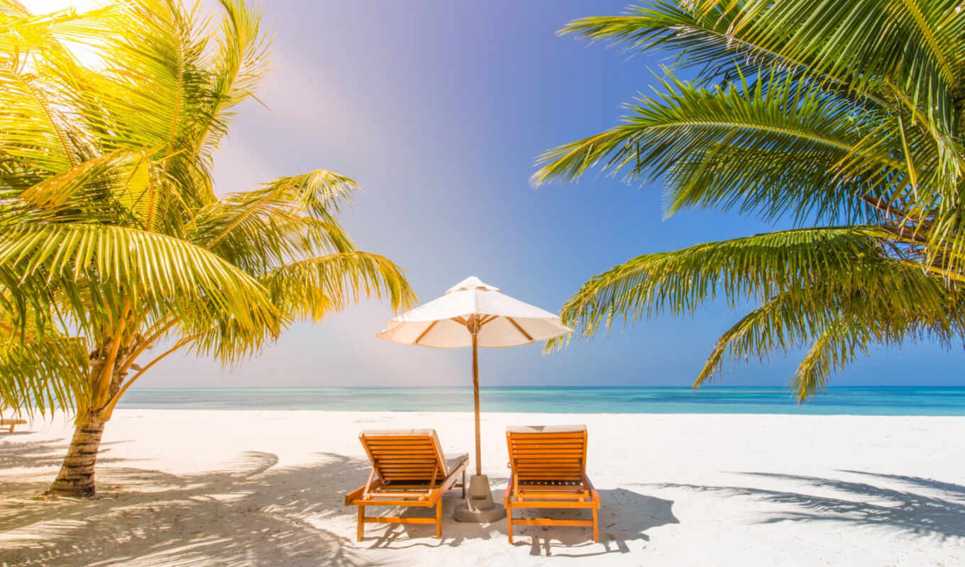 vacation, пляж, праздник, tropical, кресло, summer