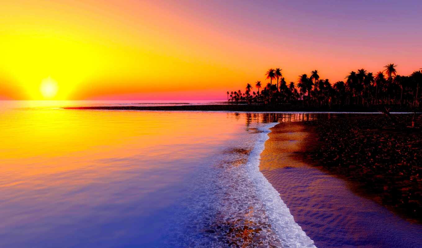 photo, tree, sunset, beach, sea, palm, tropical, nothing, idea