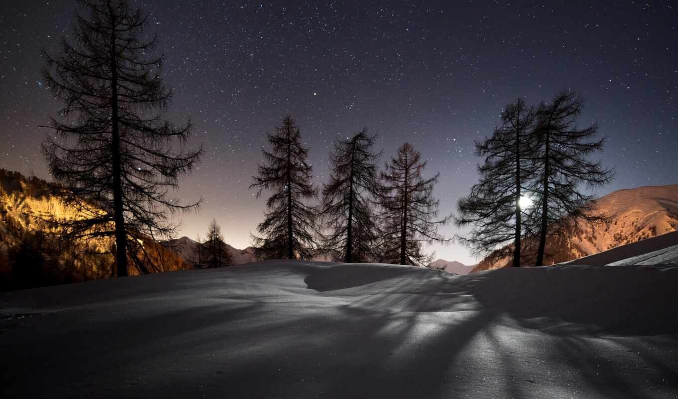 tree, night, moon, snow, winter, mountain, also, bass, nothing, awesome, tone