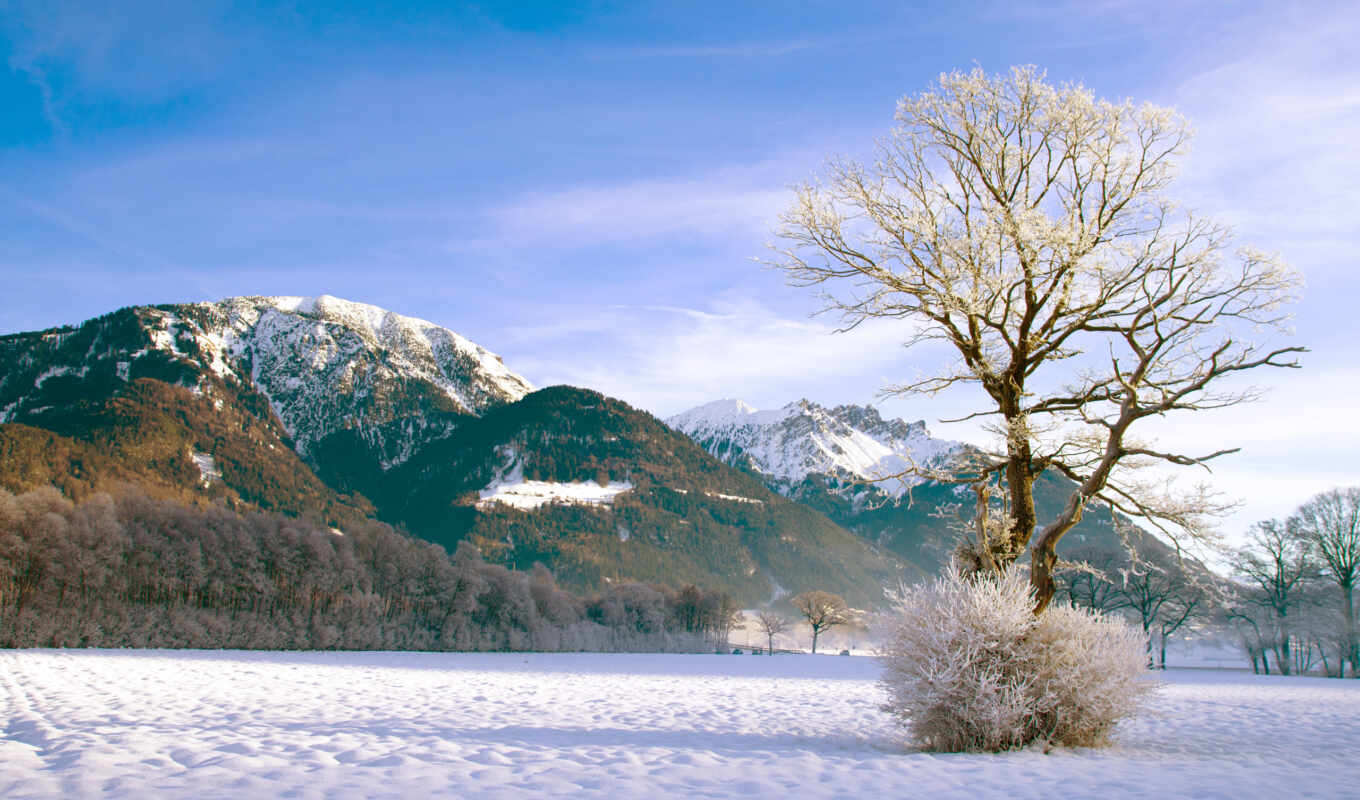 пейзажи -, снег, красивые, winter, landscape, trees, зимние, favourite, горы