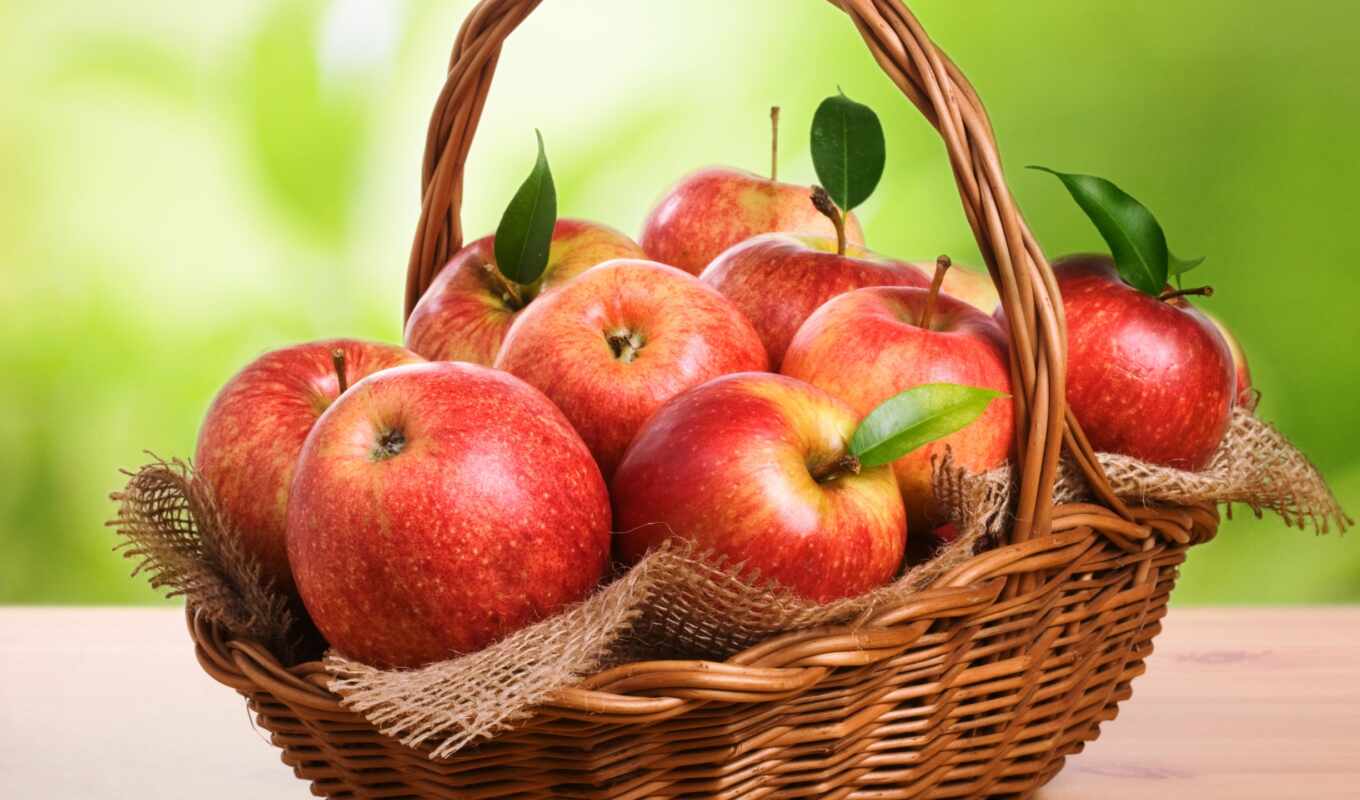 apple, плод, эти, вкусно, урожай, toshnota