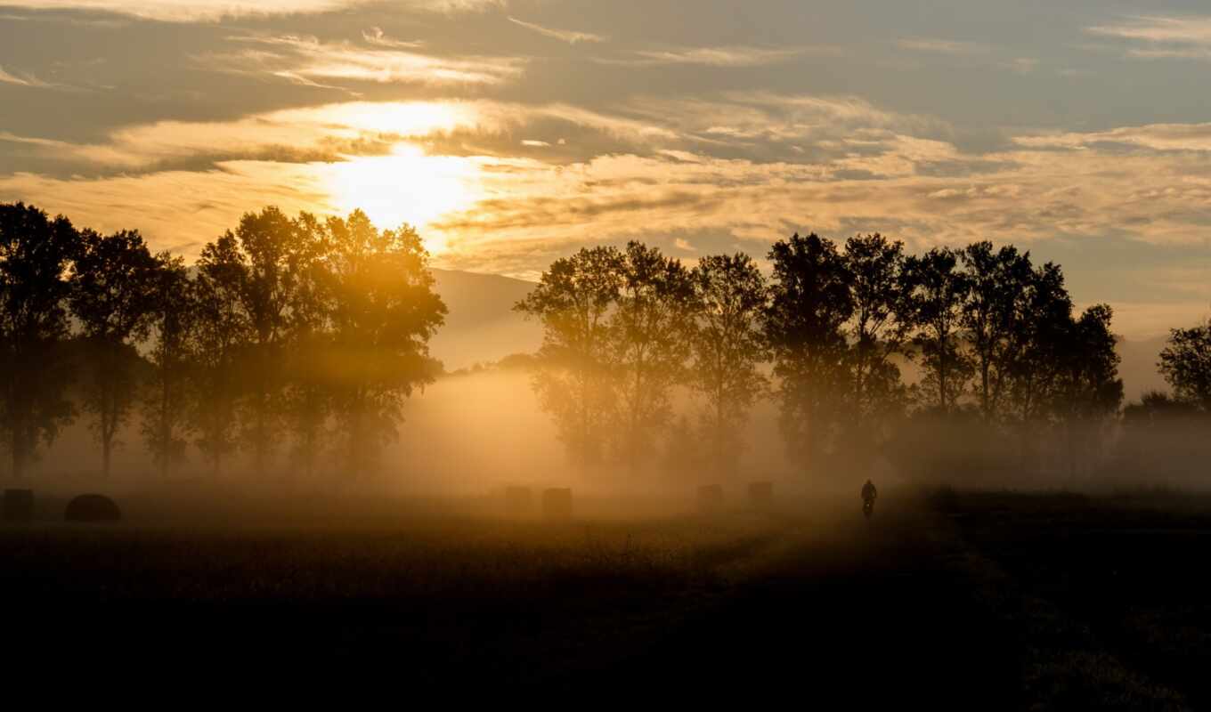 природа, дерево, landscape, облако, утро, восход, туман