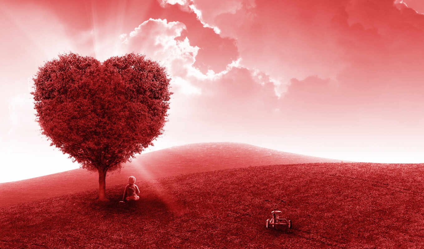love, red, дерево, сердце, черви, томас, любви, jon