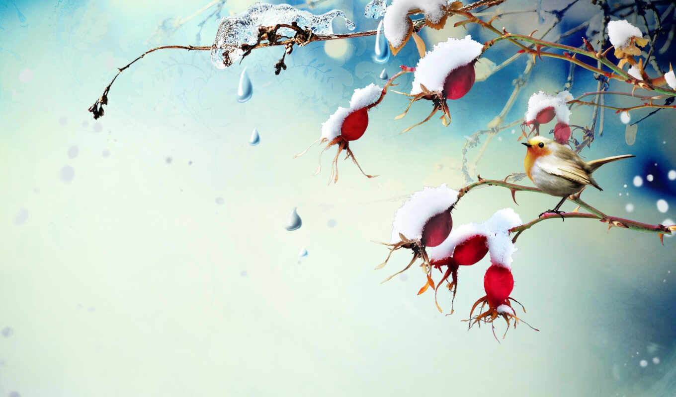 winter, bird, branch, snowy, cotton, scene, lite