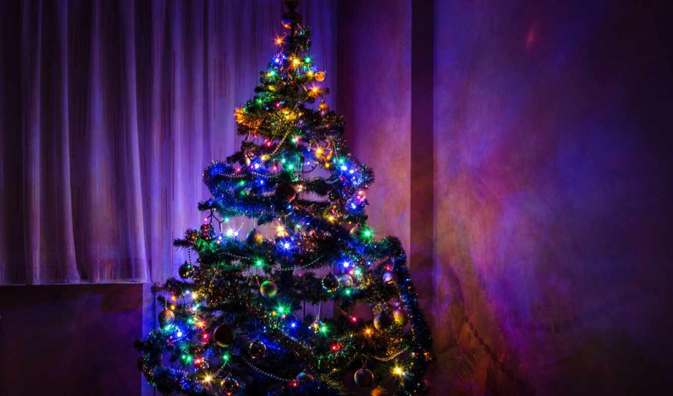 christmas, красивый, новый год, елка