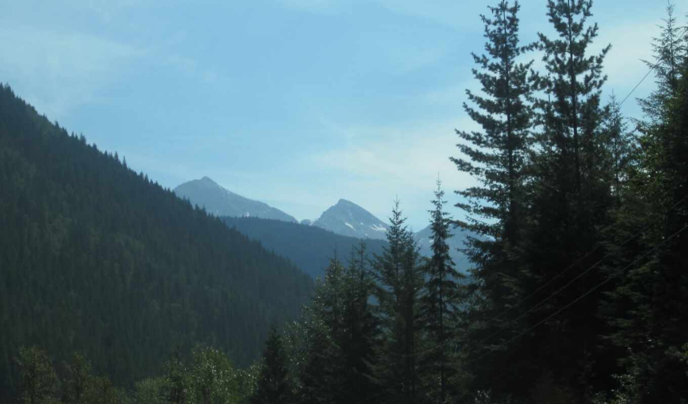 mountain, Canada, forest