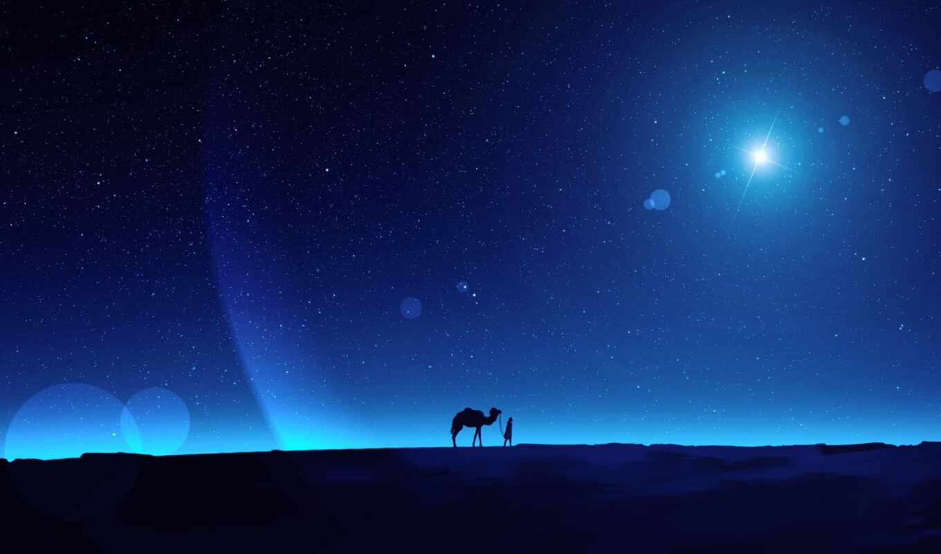 night, human, desert, a shadow, drawing, id, camel