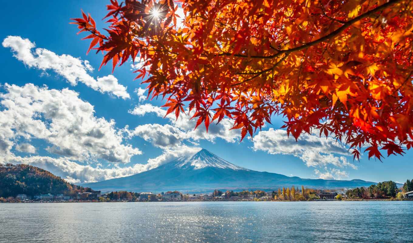 озеро, лист, дерево, japanese, осень, япония