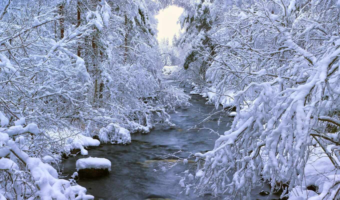 широкоформатные, снег, winter, лес, река, trees, sweden, swedish, dalarna
