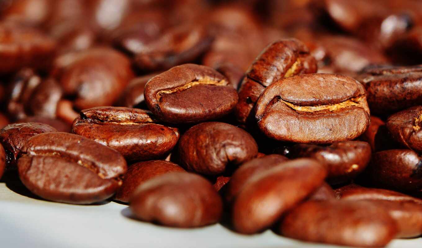 coffee, bean, strana, самый, кофе, новость, свежий, miro, selskii, excelsa, rynok