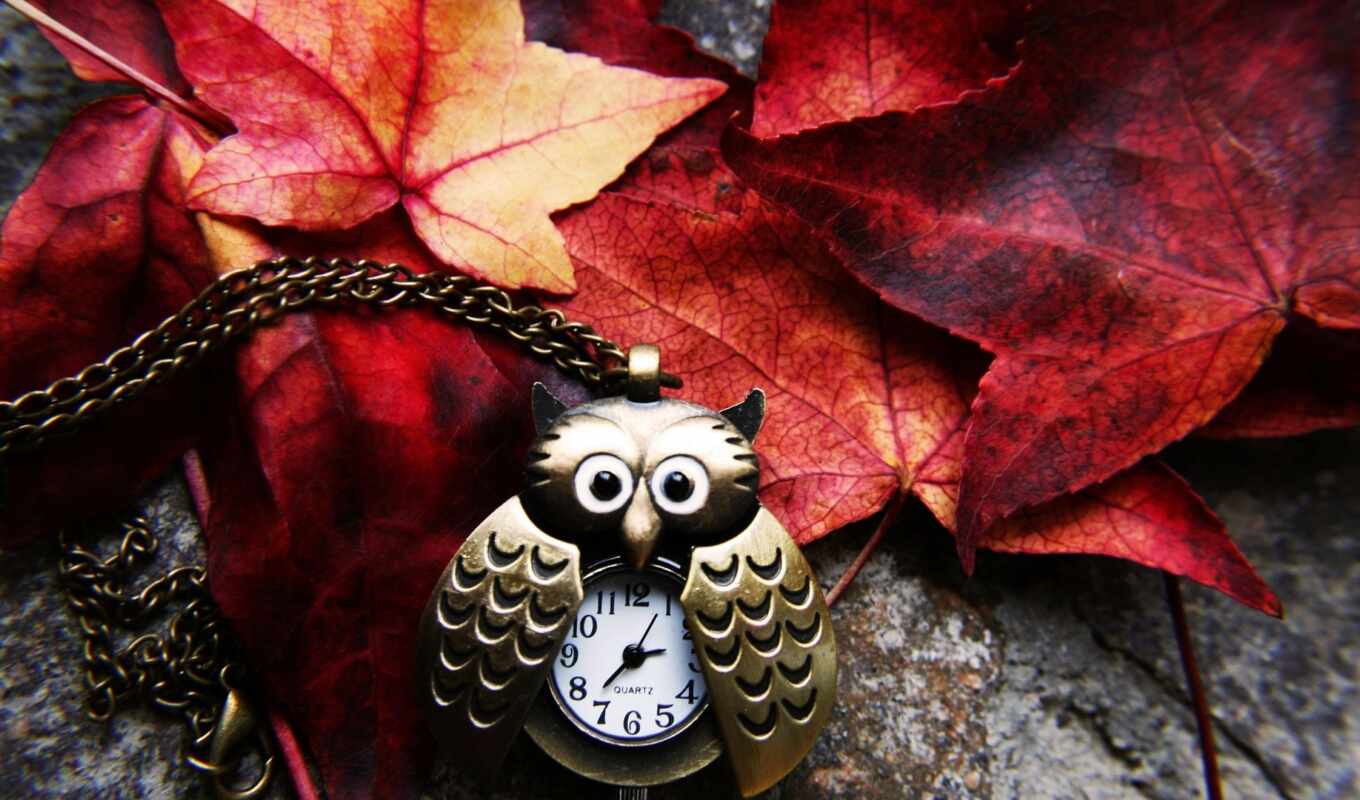 часы, сова, watch, осень, цепь, leaf