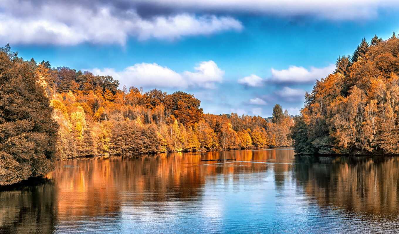 озеро, природа, лист, дерево, гора, осень, река, отражение