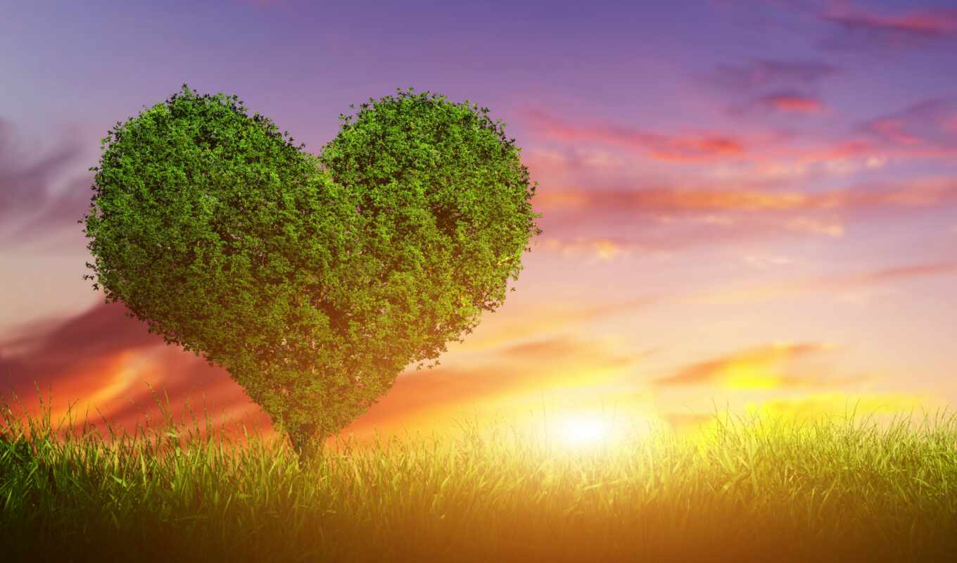 love, tree, sunset, heart