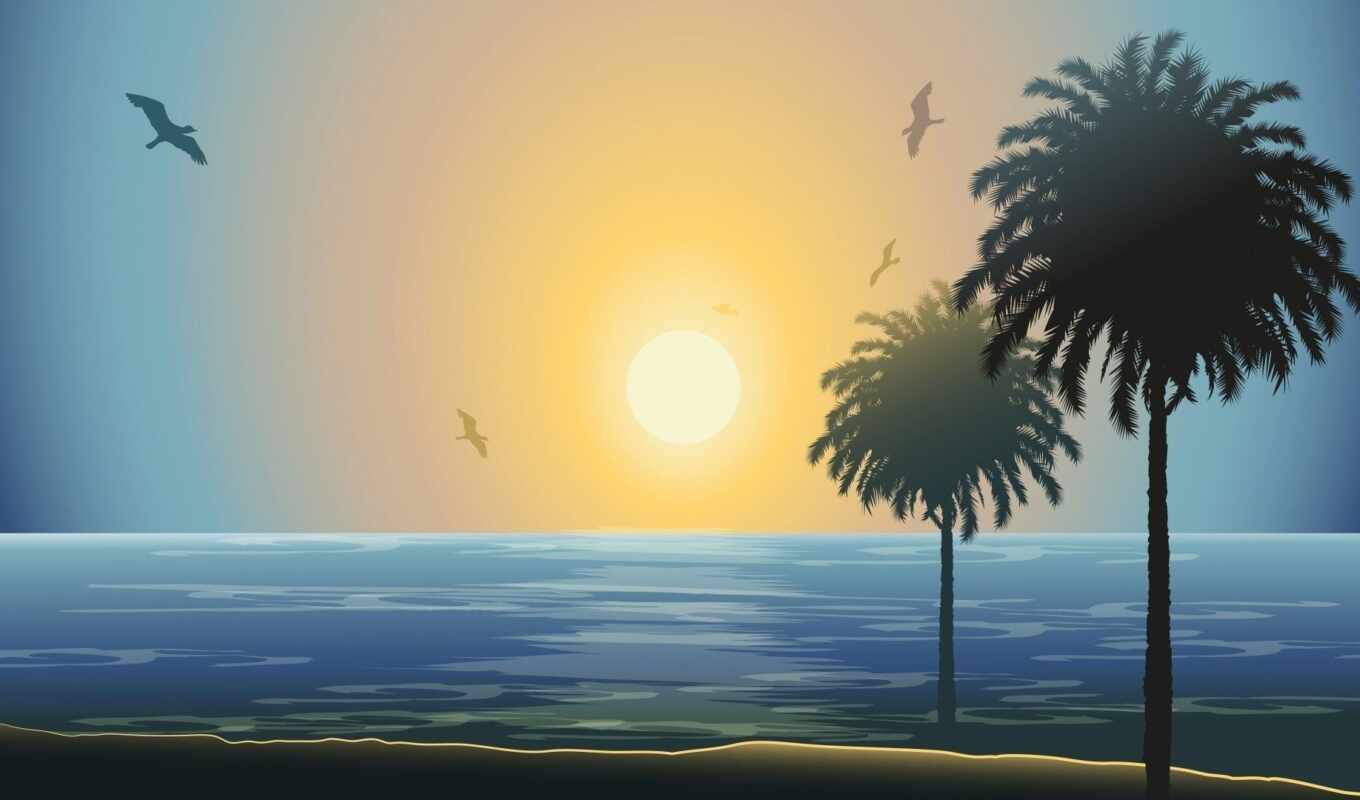 sun, sunset, sea, palm