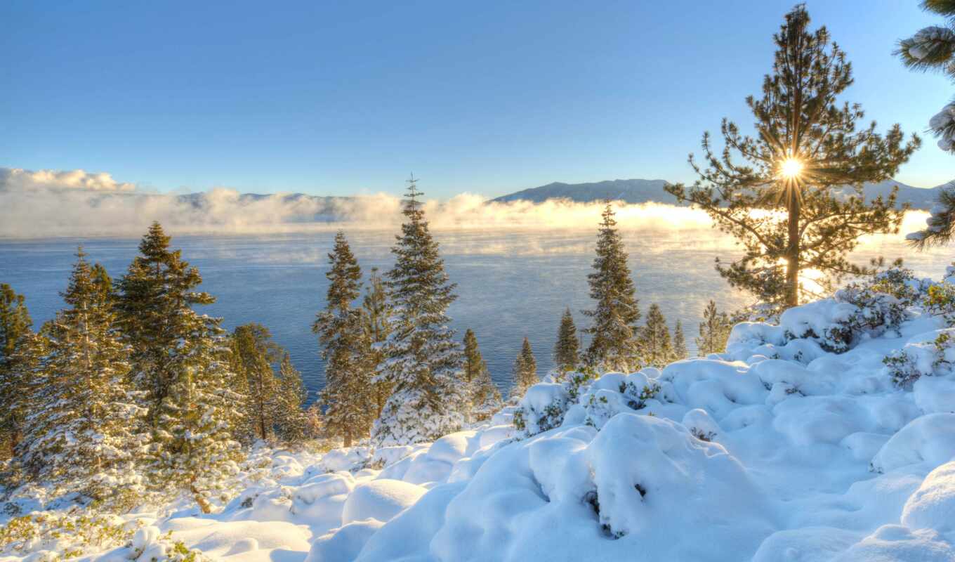 lake, nature, tree, snow, winter, mountain, california, usa, nevada, sierra