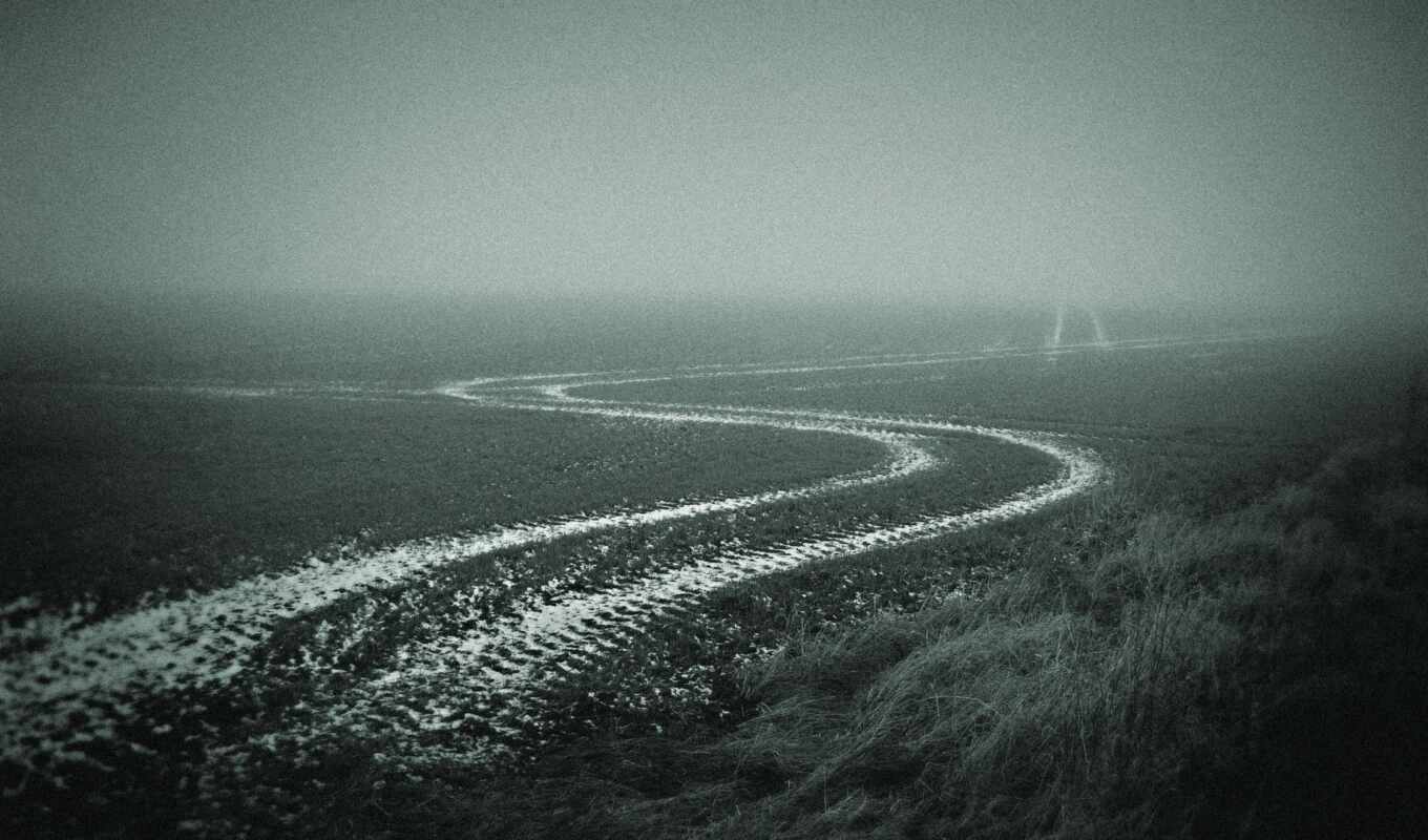 road, field, autumn, fog