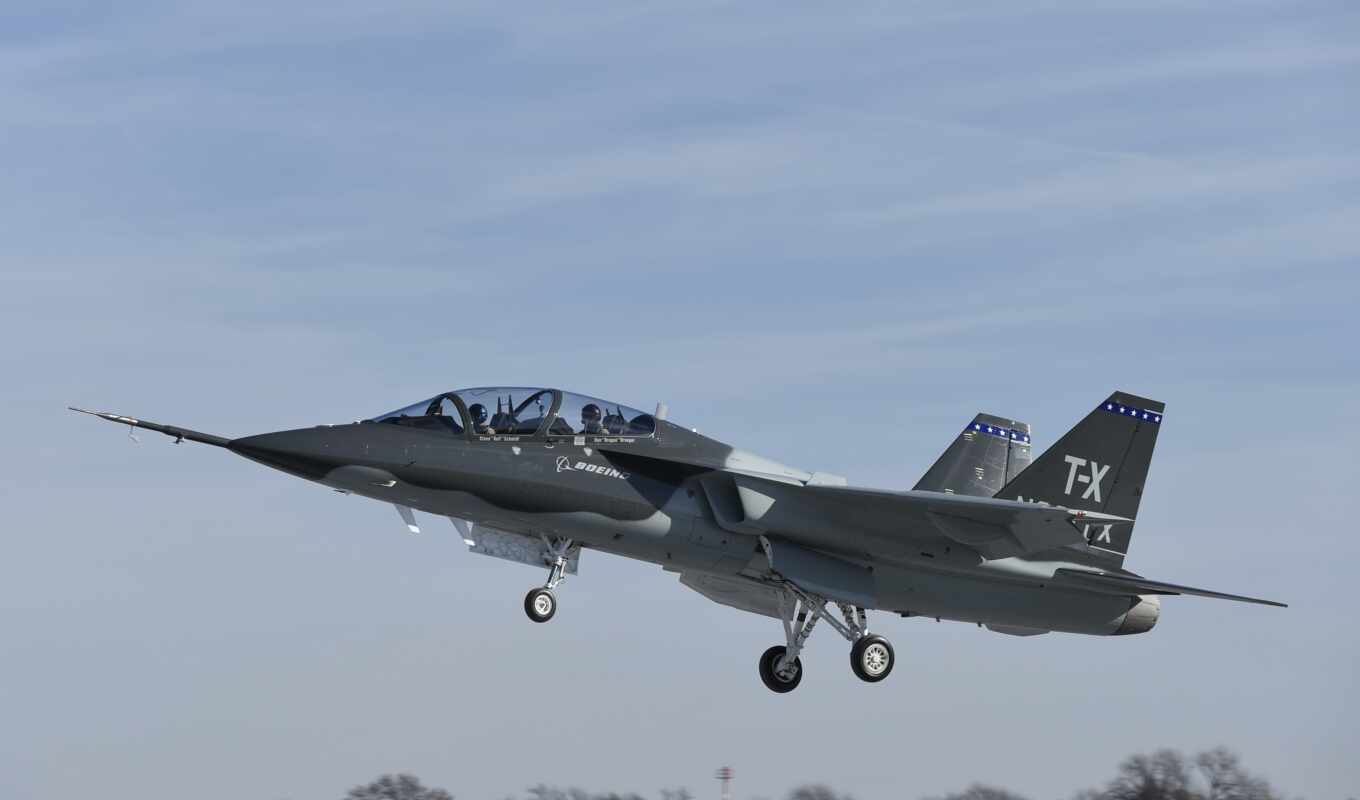 power, plane, the fighter, flight, new, air, for the first time, saab, reactive, animal trainer, boe