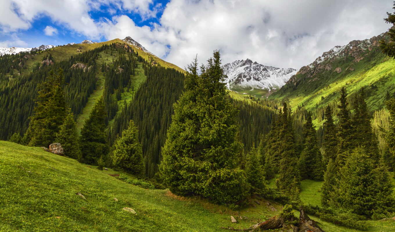 nature, mountain, trip, gorge, kyrgyzstan, arashana, altin, Kyrgyzstan