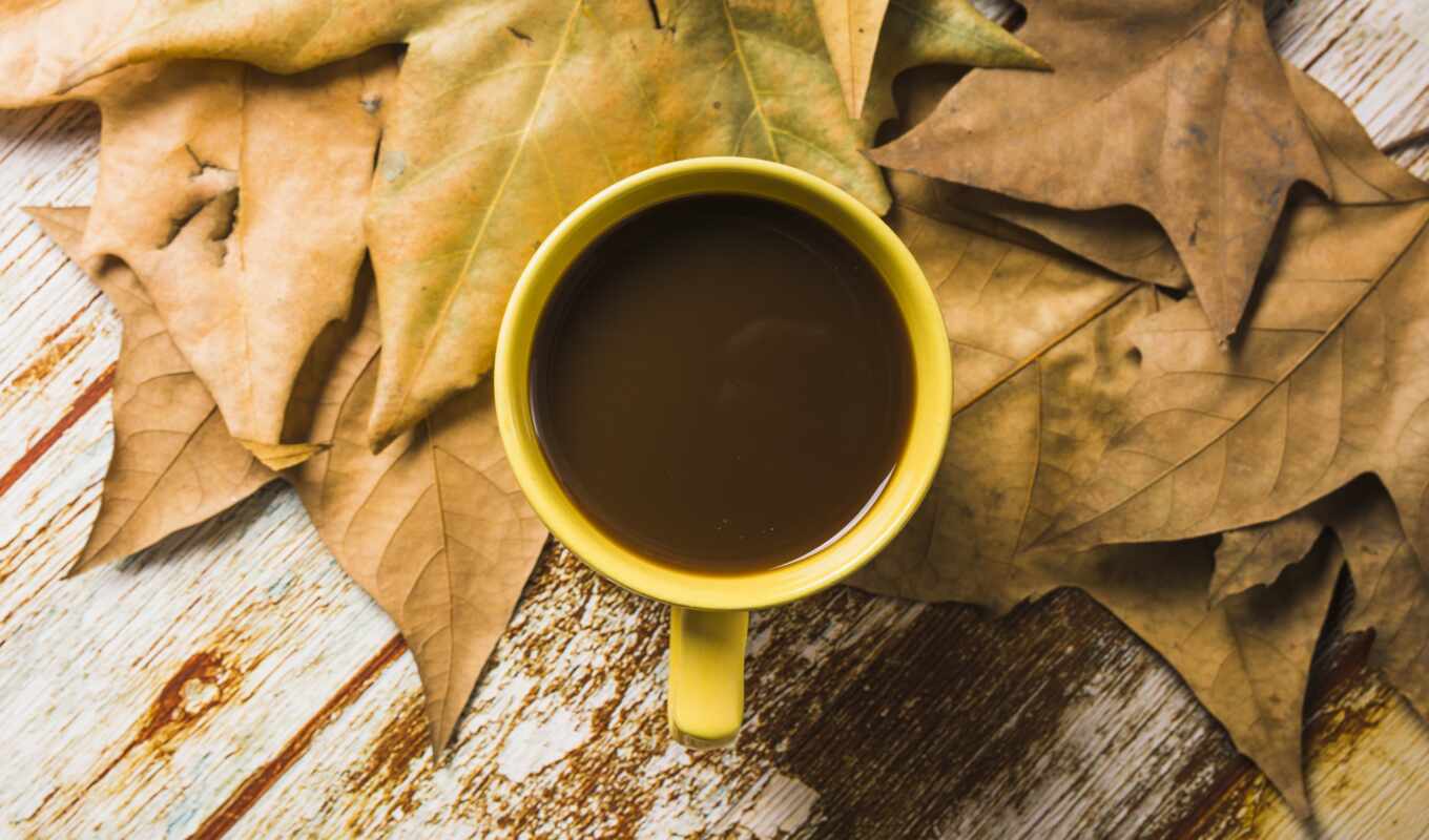 mac, coffee, post, autumn, cup, leaf, explore