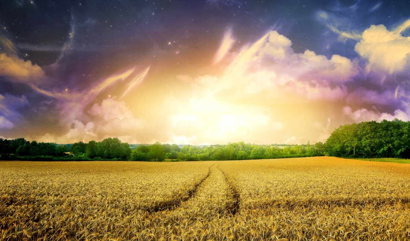 природа, фон, sun, поле, тв, облако, трактор, дорогой, пшеница, мак