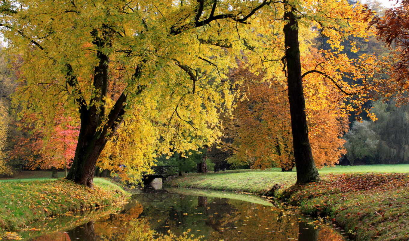 nature, republic, picture, autumn, rivers, Czech, pruhonice