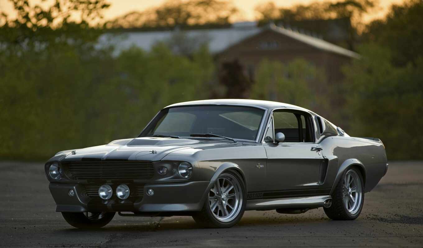 car, ford, mustang, shelby, eleanor