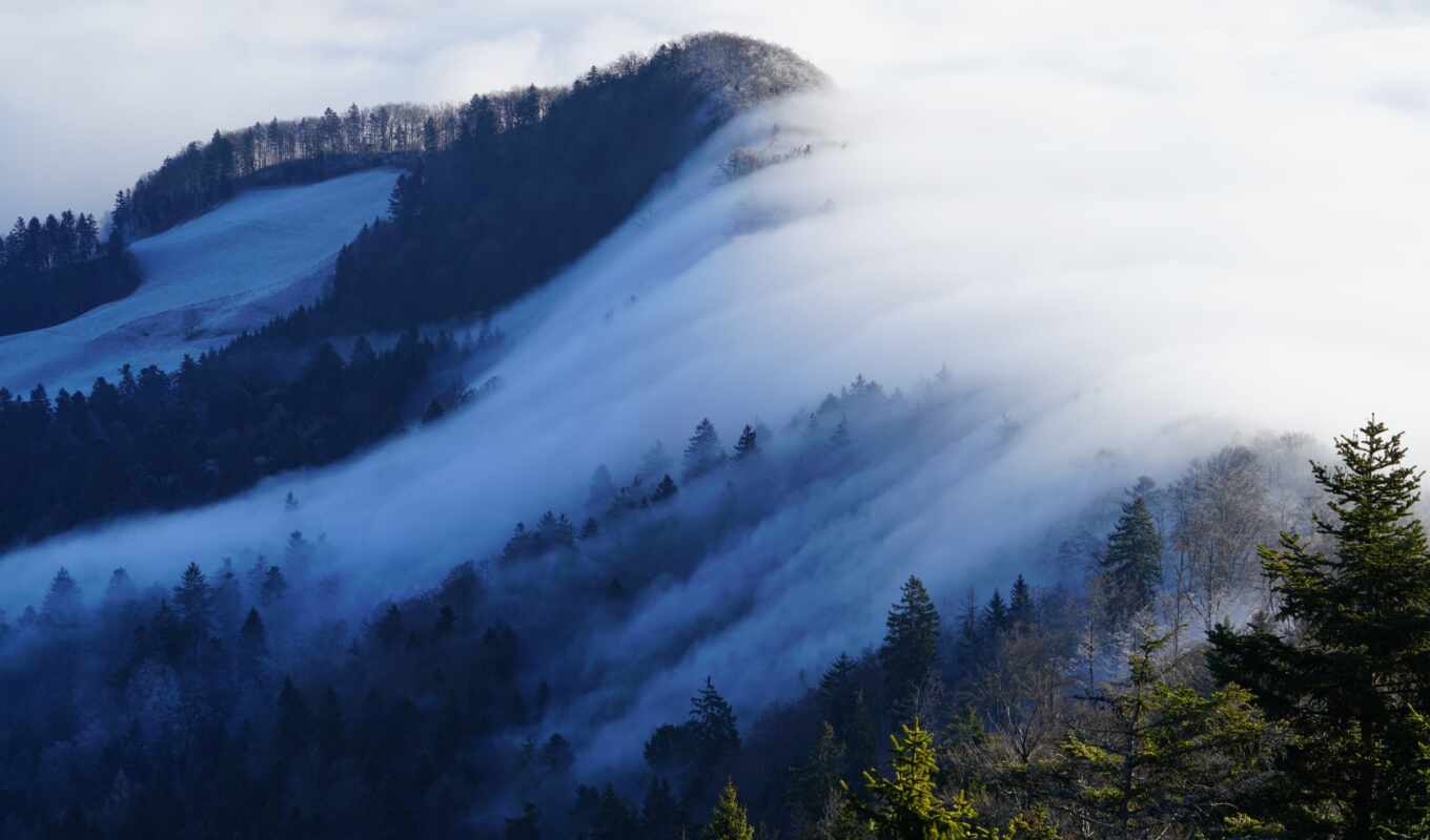 mountain, swiss, fog, jus, fotografirovat