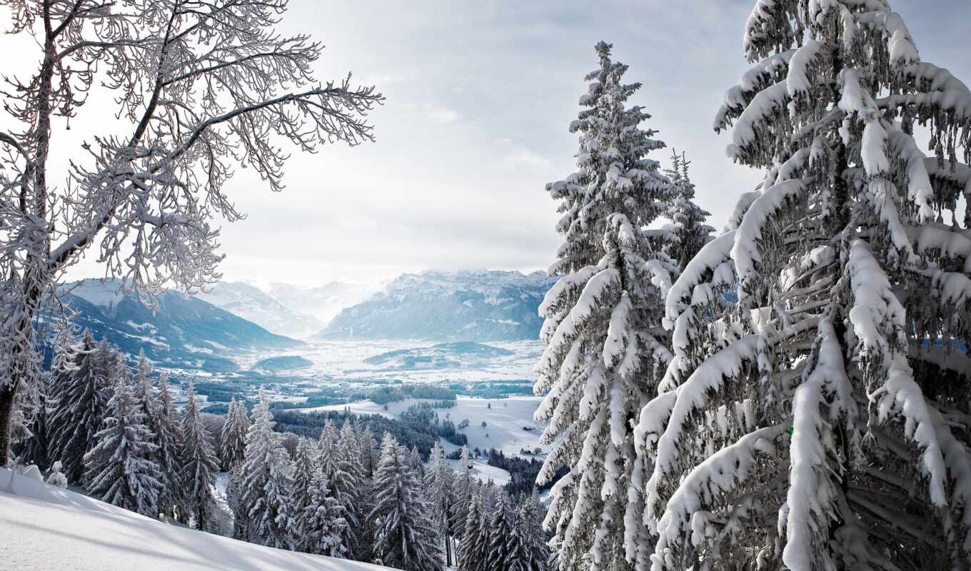 снег, winter, лес, гора, landscape, дорогой, fast, долина, detailed, фотообои