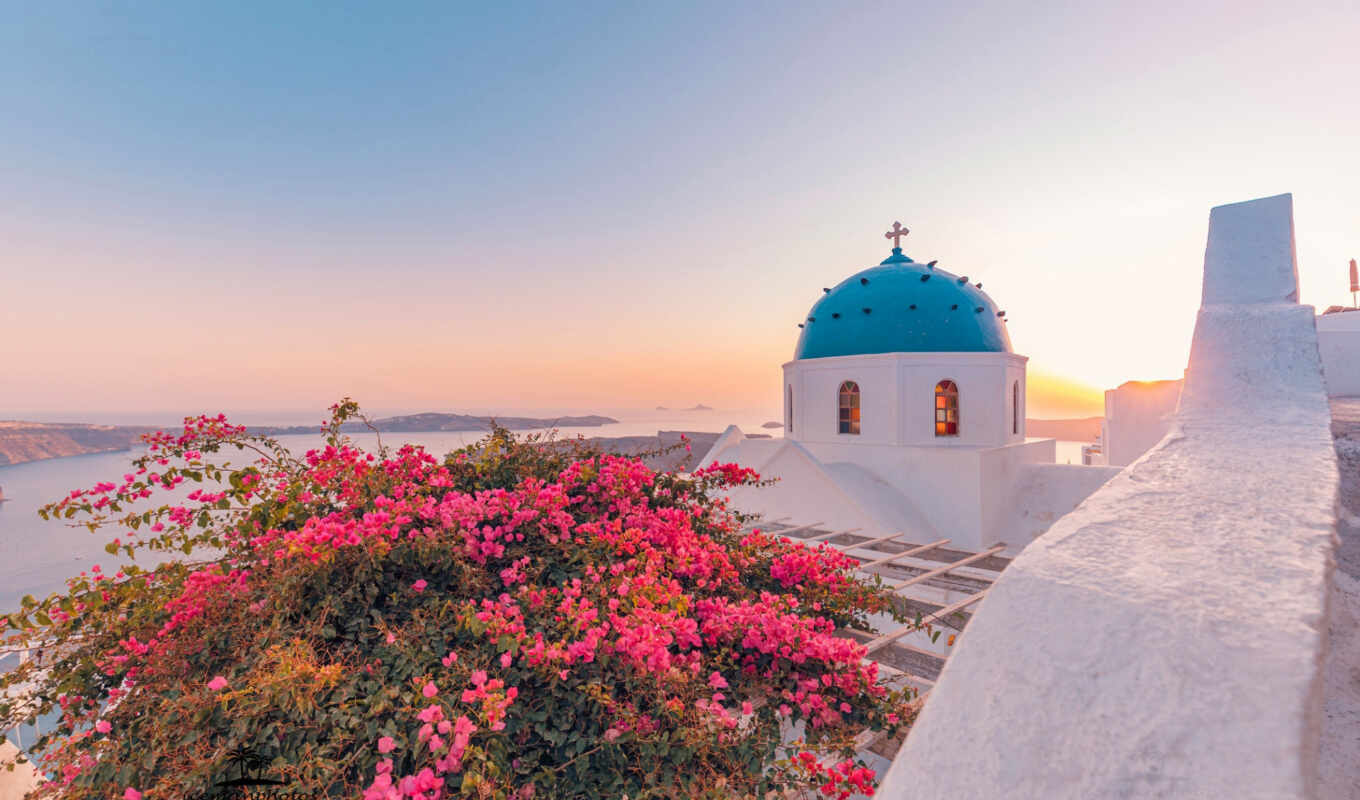 flowers, sea, church, greece, dome, oia, santorinit, bougainvillea, aegean