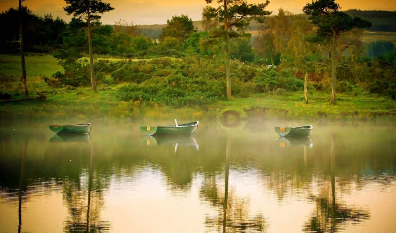 lake, nature, green, water, river, a boat, peakpxpage