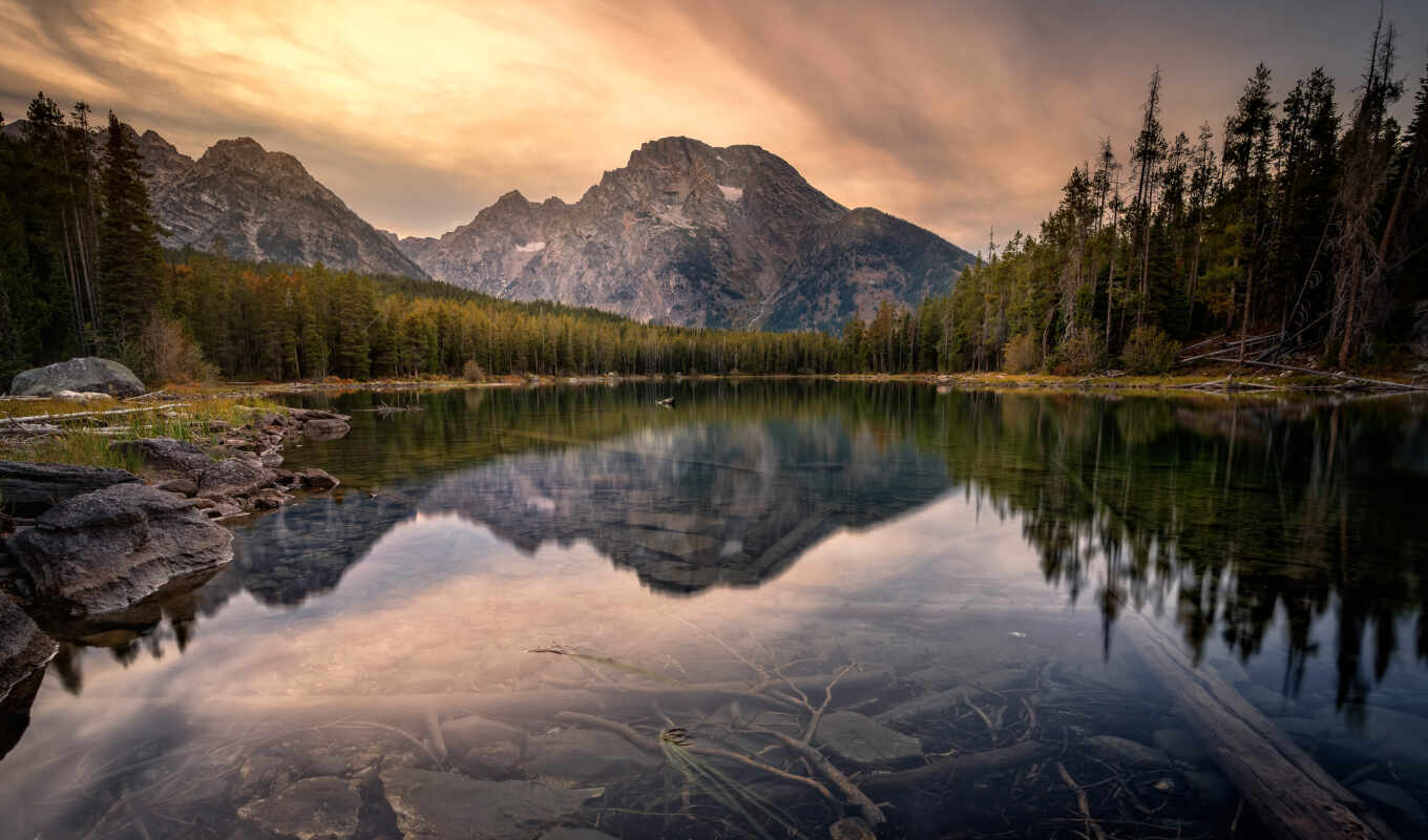 lake, forest, mountain, pond, grand, park, reflection, national, teton, fore