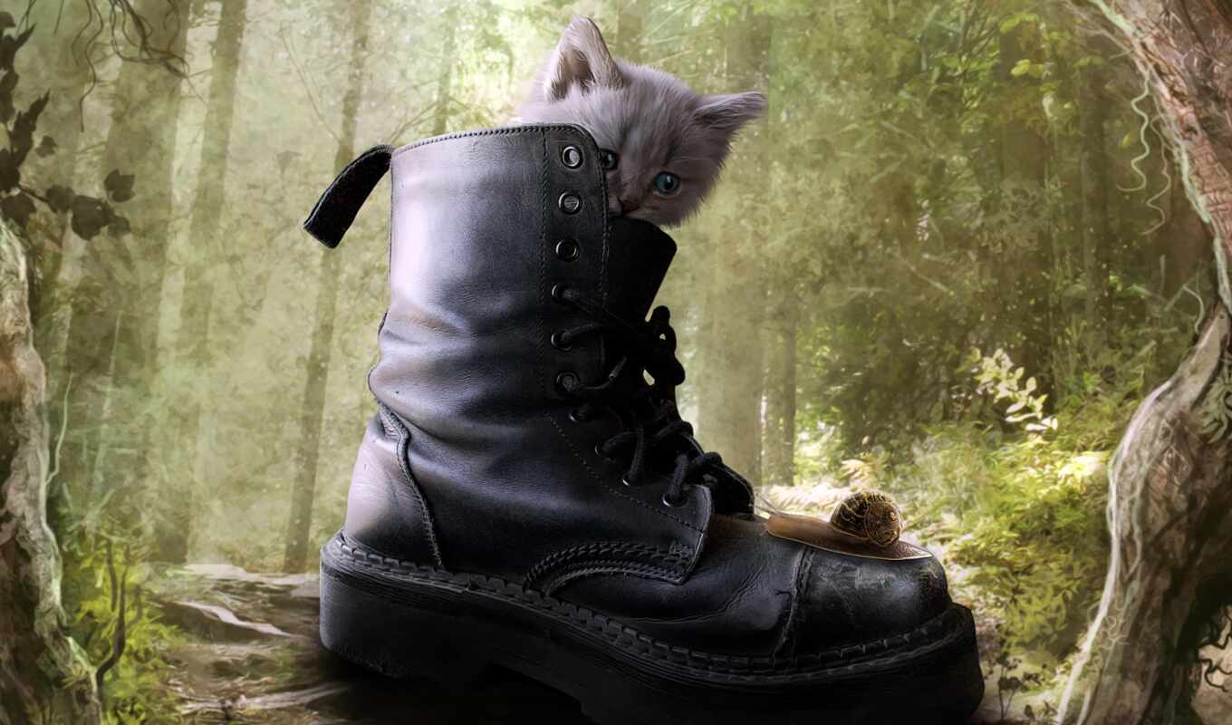 фото, фон, movie, кот, котенок, puss, ботинок