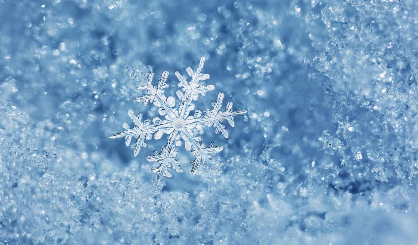 macro, ice, water, winter, led, snowflake