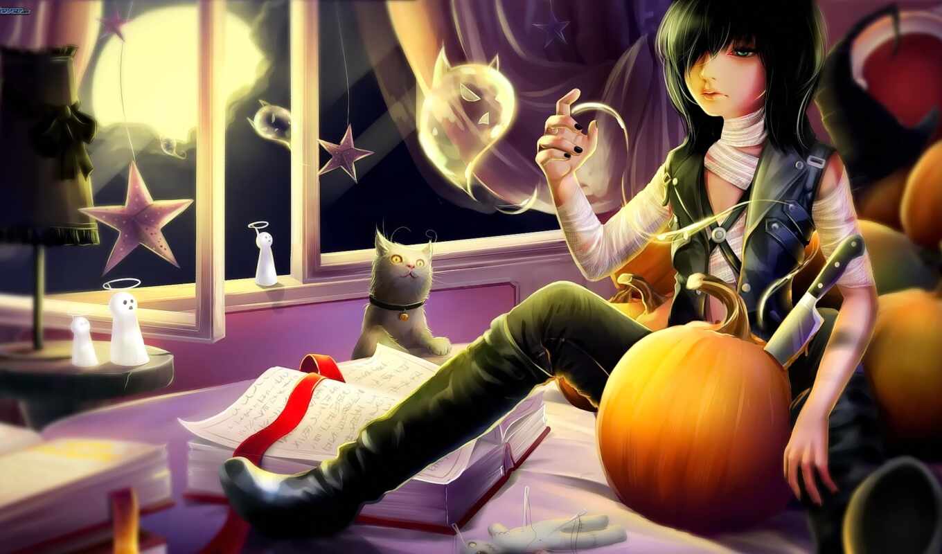 art, room, window, anime, guy, hair, cat, halloween, books, pumpkin, bands
