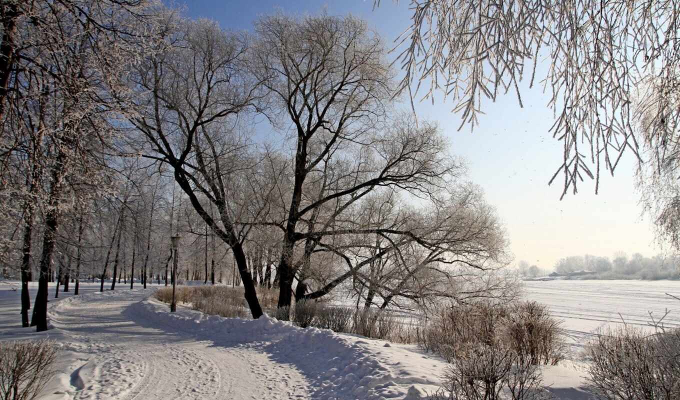 природа, пейзажи -, снег, winter, года, time, кошки, season, trees, природе