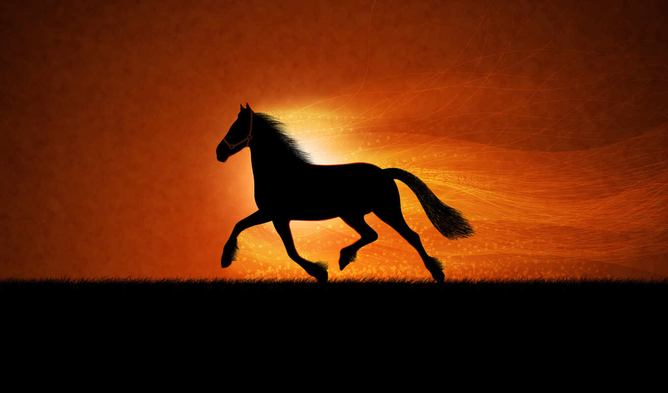 large format, screen, horse, beautiful, free, horses