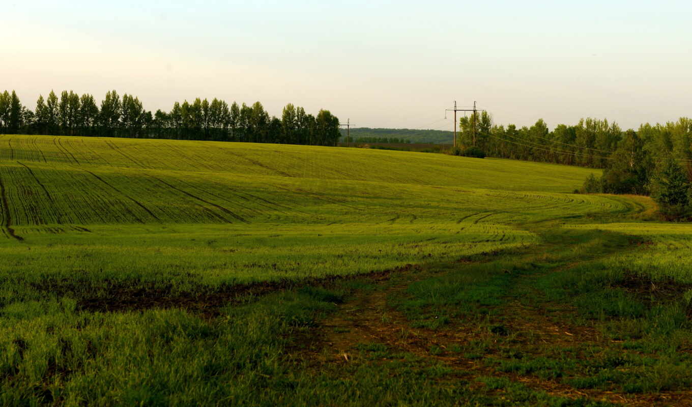 телефон, ноутбук, планшетный, region