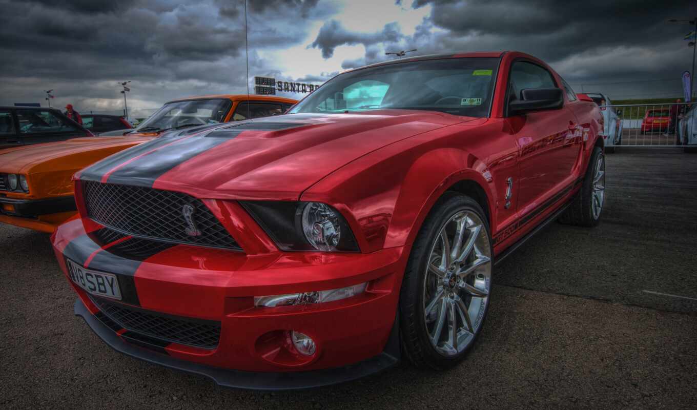 red, авто, car, ford, mustang, shelby, мешок, ручка, спорткар